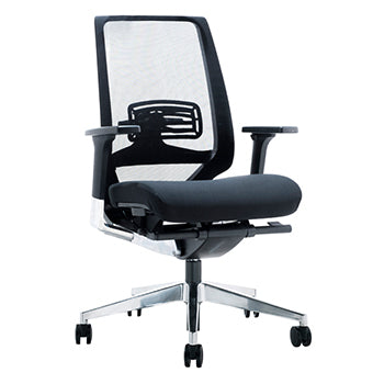 Ergonomic Chairs