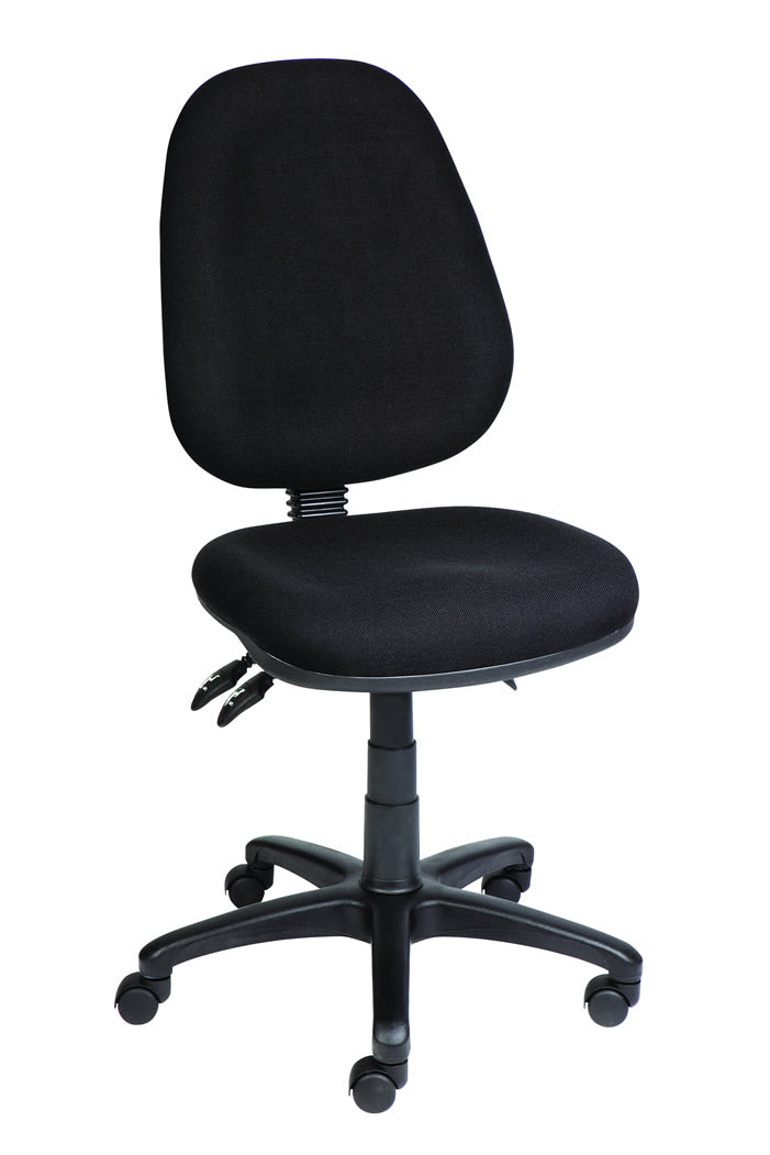 Ergo 300 Task Chair