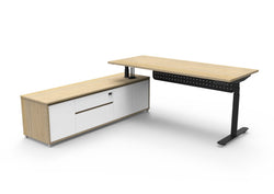 LHS Executive Halo Desk with Modesty Panel