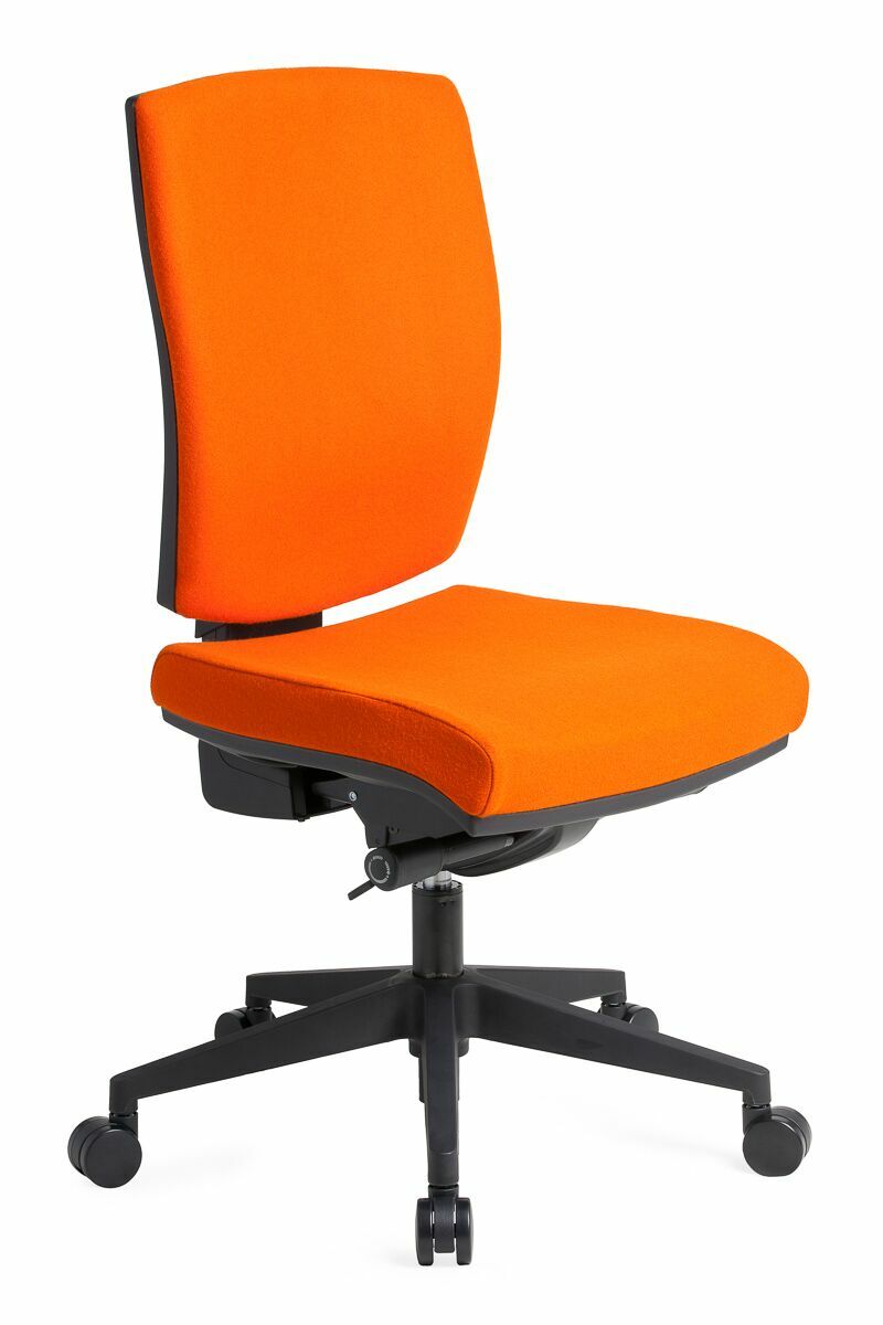 Apollo Ergonomic Office Chair