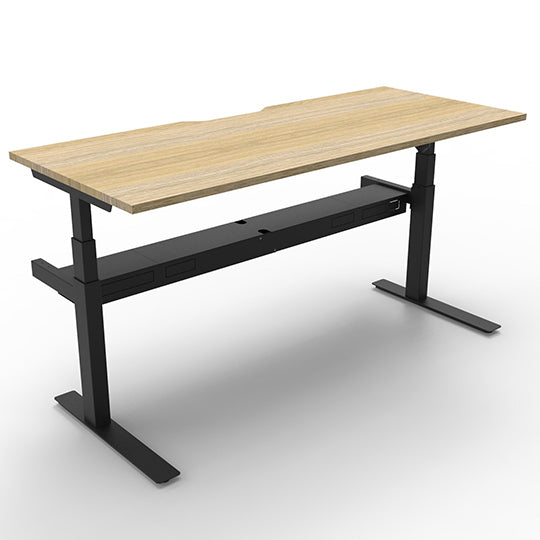 Rapid Paramount Electric Height Adjustable Standing Desk